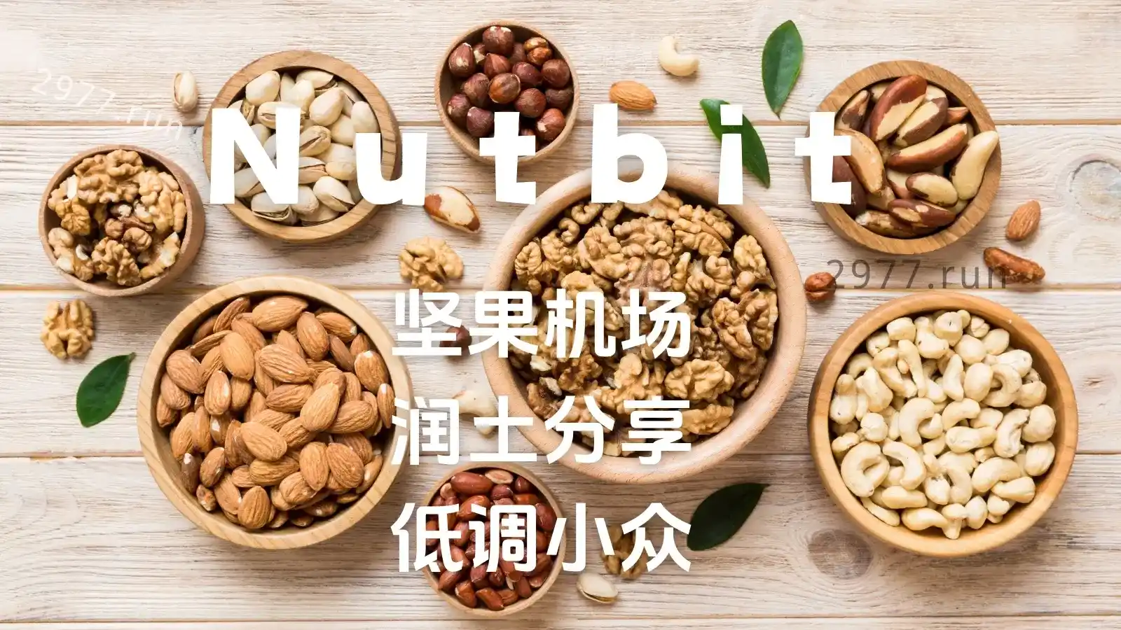 坚果机场官网 Nutbit Cloud 坚果机场官网 Nutbit Cloud