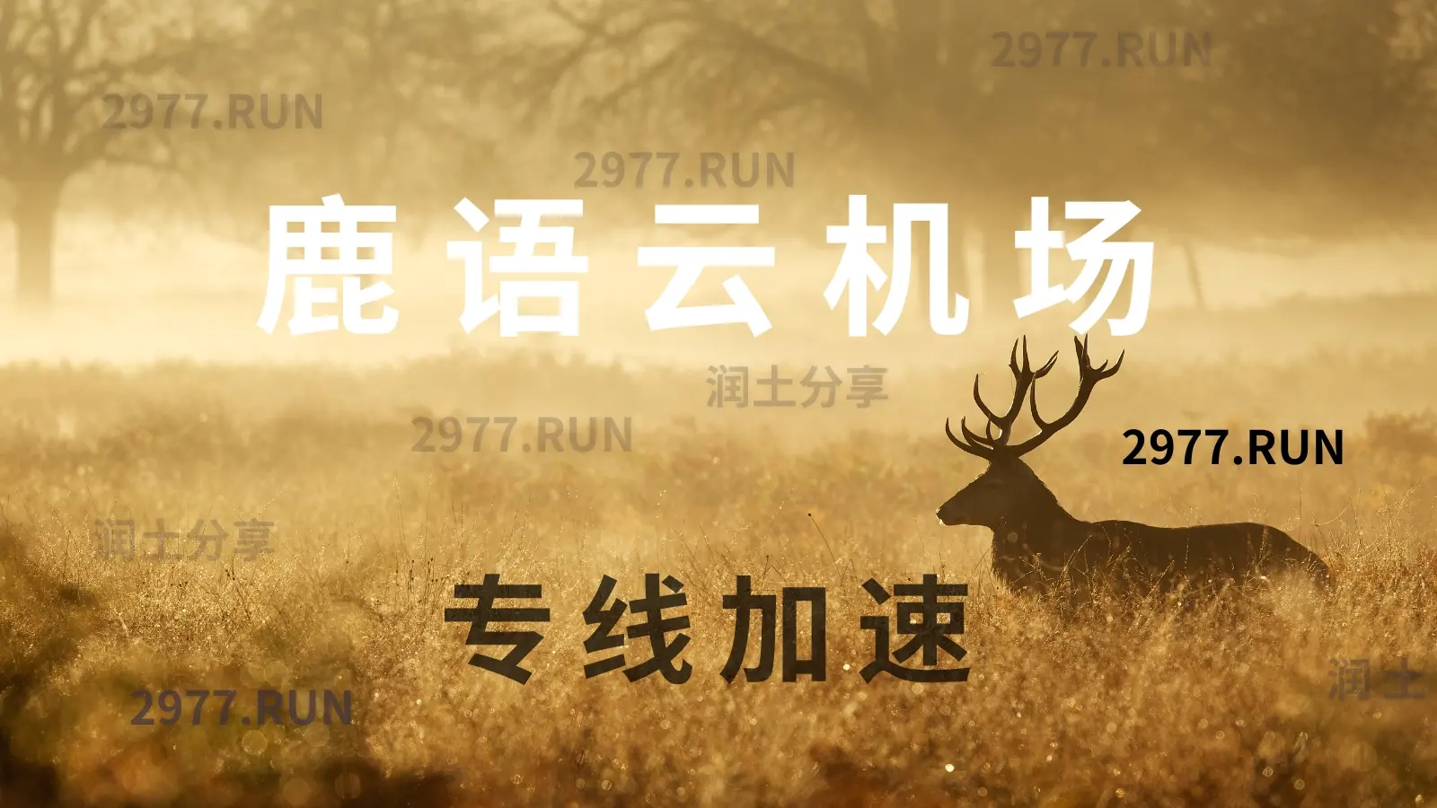 鹿语云 IEPL 专线机场加速