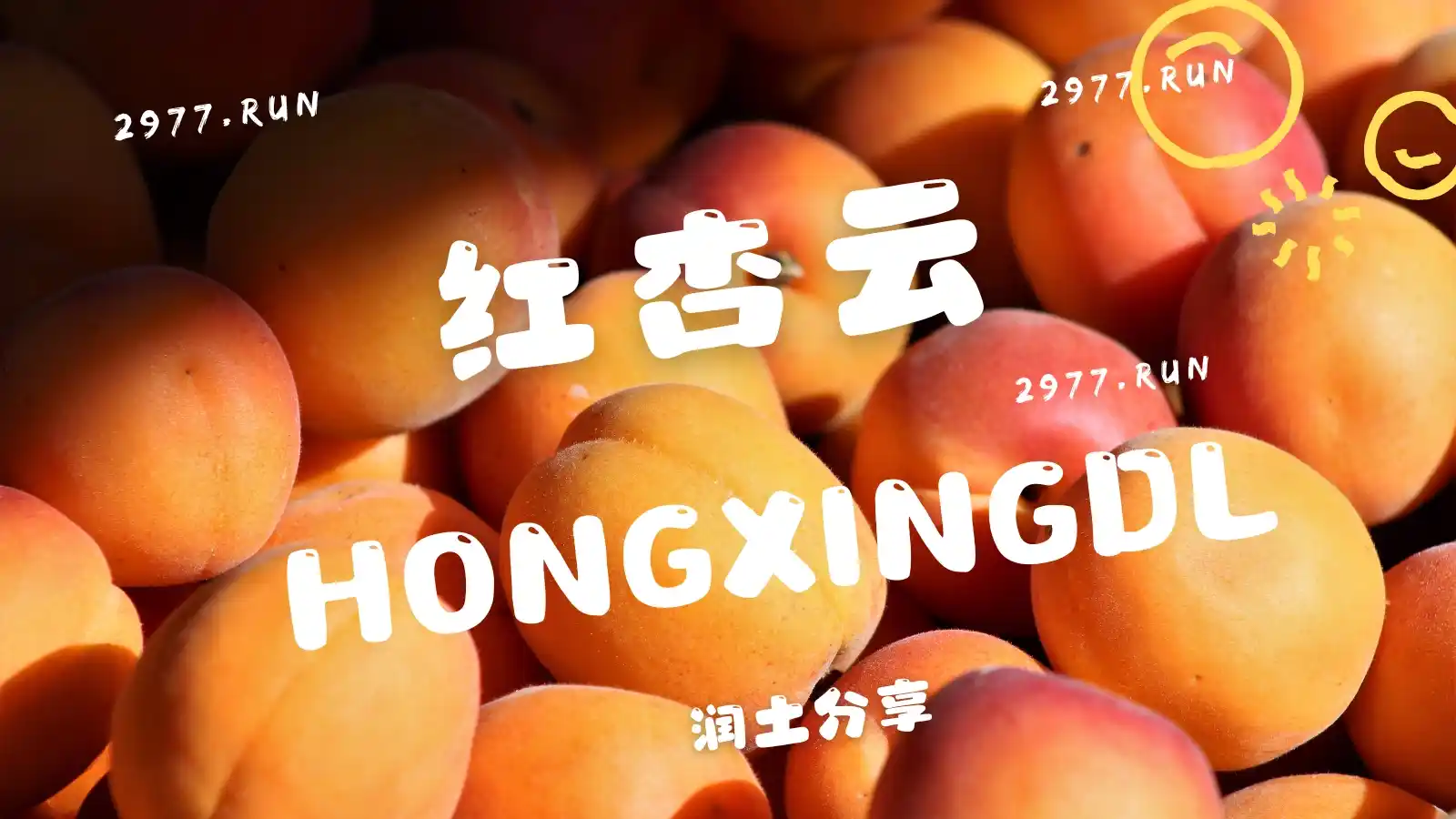 红杏云机场官网 红杏云机场官网